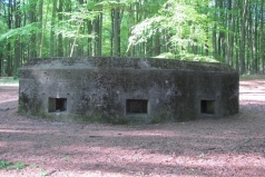 Cuneraweg-Rhenen-bunker-WOII-in-bos