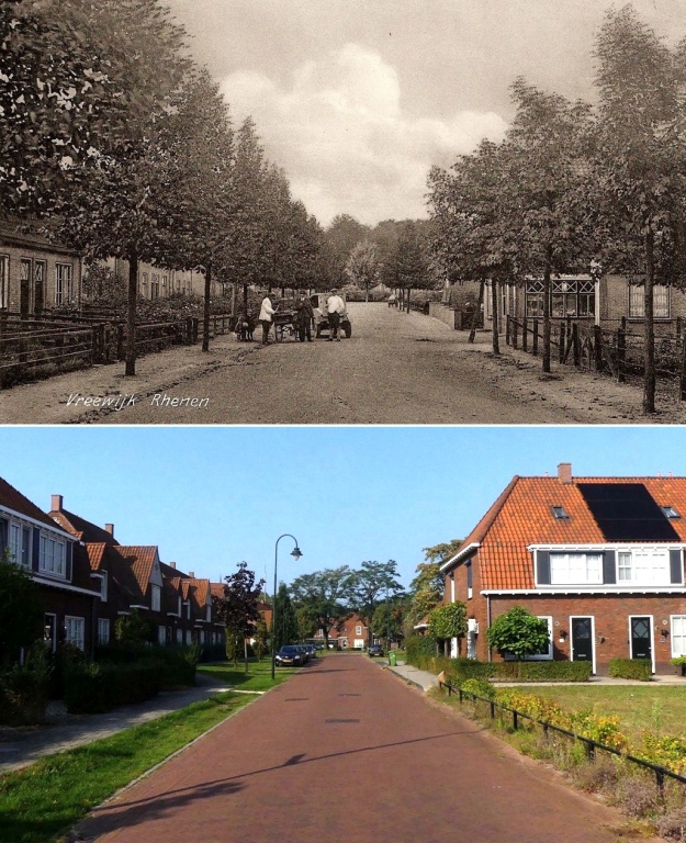 Vreewijkstraat.jpg